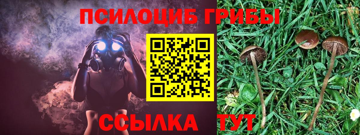 Костомукша  Псилоцибиновые грибы Psilocybe  купить  сайты  Вход с VPN 