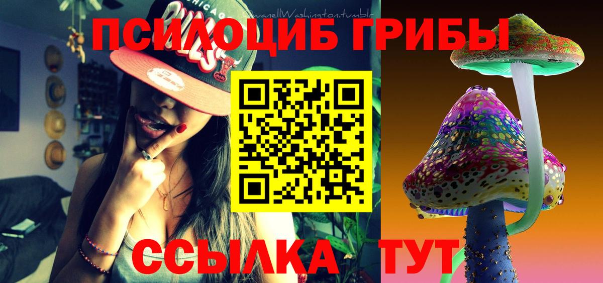 Псилоцибиновые грибы мицелий Костомукша